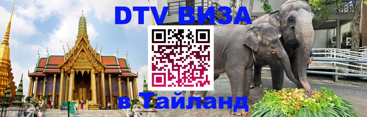 Сколько стоит DTV виза — актуальные цены, оформление даже без документов - Курск 